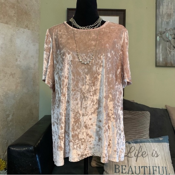 LUCKY BRAND NWT Champagne Crushed Velvet Flutter Sleeve Top 2X - Picture 4 of 8
